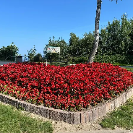 Lejlighed Cliff Morska 1